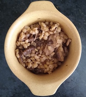 WildMushroomOrzotto